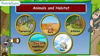 Plants, Animals, and the Earth - Class 6 - Quizizz