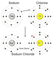 Number Bonds - Class 9 - Quizizz