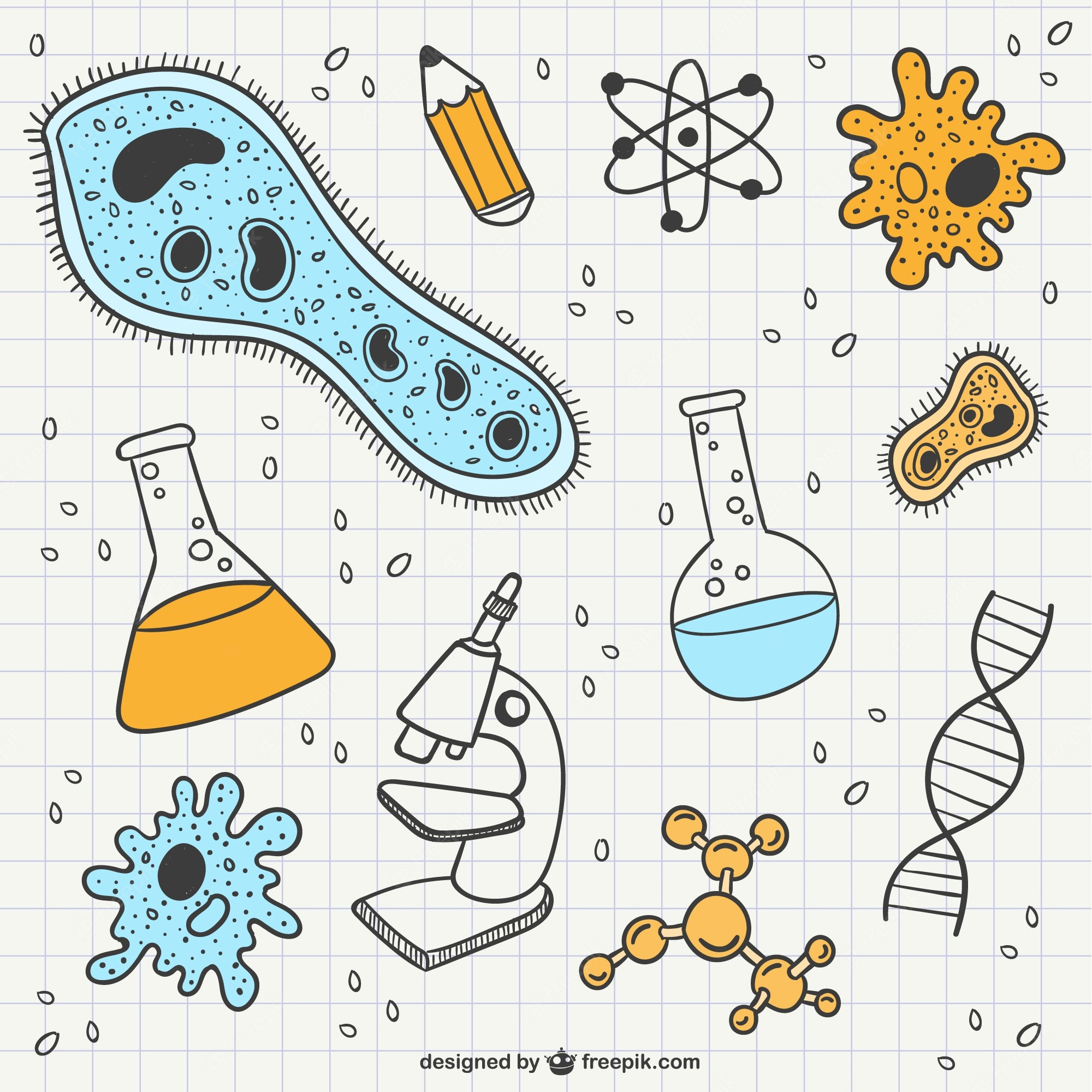 estructura y replicación del adn - Grado 3 - Quizizz