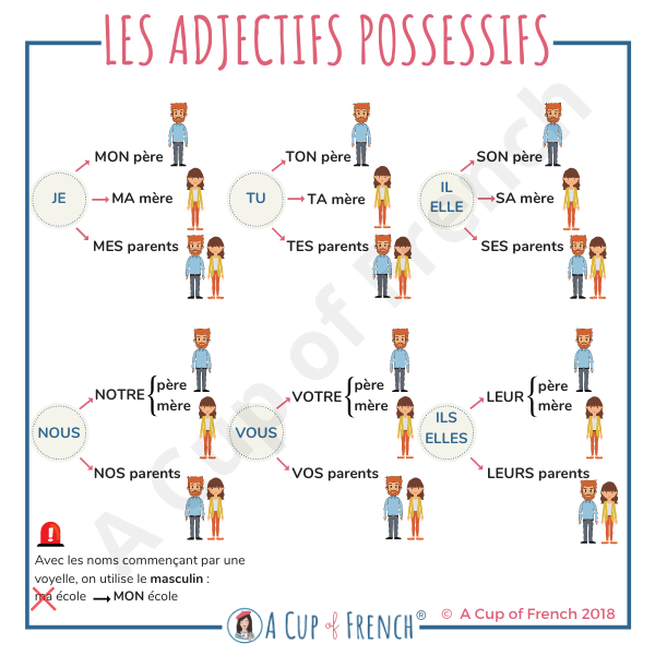 Possessive Adjectives French Quizizz