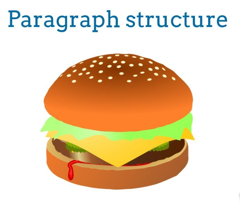 Paragraph Structure - Grade 7 - Quizizz
