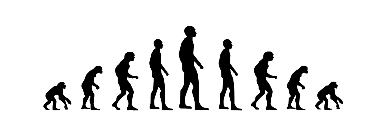 Introduction to Hominid Evolution 