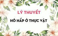 thảm thực vật - Lớp 11 - Quizizz