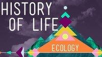 evolution and the tree of life - Class 9 - Quizizz