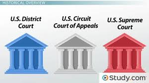 Street Law Ch 5 3 State and Federal Court Systems Quizizz