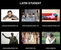 Latin - Grade 11 - Quizizz
