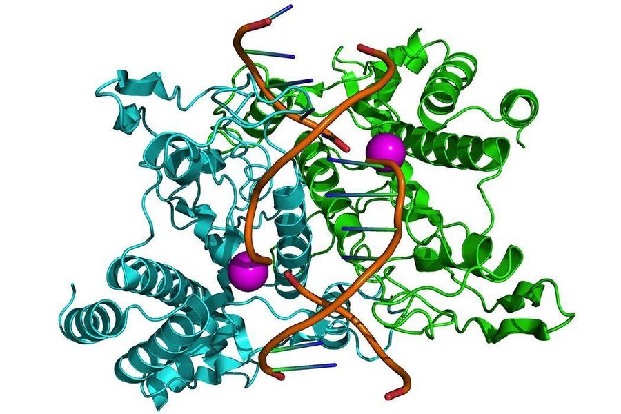 enzyme-review-biology-quiz-quizizz