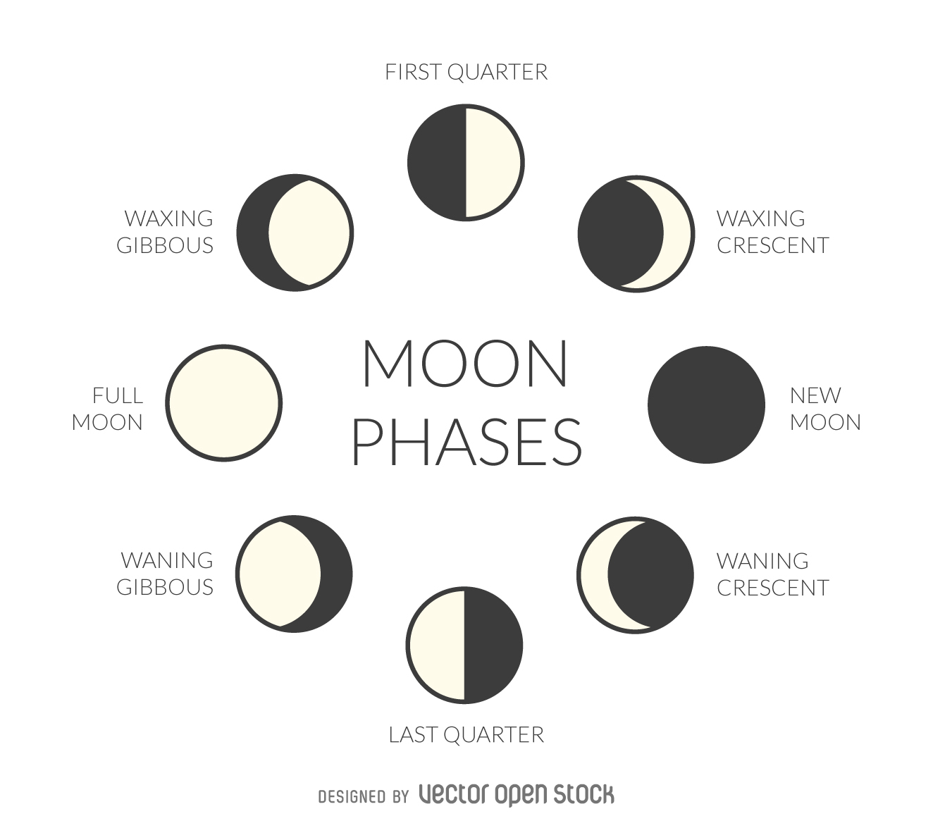 Moon Phases | Science - Quizizz