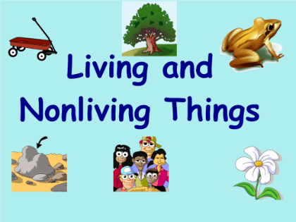 Living things and non-living things | 11.8K plays | Quizizz