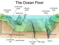 Ocean Floor Features Science Quizizz