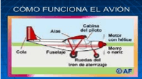 Ciencias de la vida - Grado 5 - Quizizz