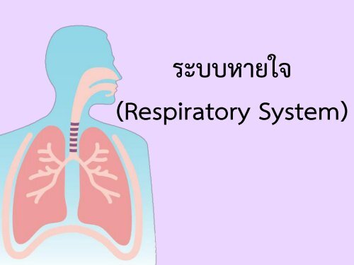 the circulatory and respiratory systems - Class 2 - Quizizz