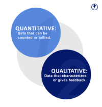 Quantitative vs Qualitative