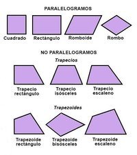 propiedades de los cuadriláteros - Grado 7 - Quizizz