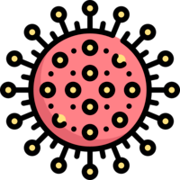 virus - Lớp 5 - Quizizz