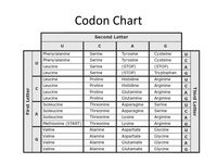 Tally Charts - Grade 12 - Quizizz