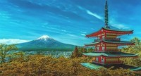 Japanese - Year 4 - Quizizz