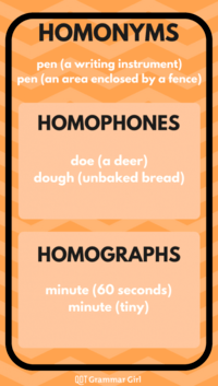Homophones and Homographs - Grade 3 - Quizizz