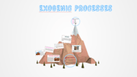 QUIZ4 exogenic process