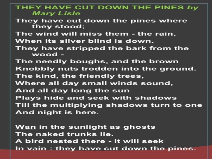 Poem- They Have Cut Down The Pines by Mary Lisle | Quizizz