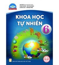 khăn giấy - Lớp 6 - Quizizz