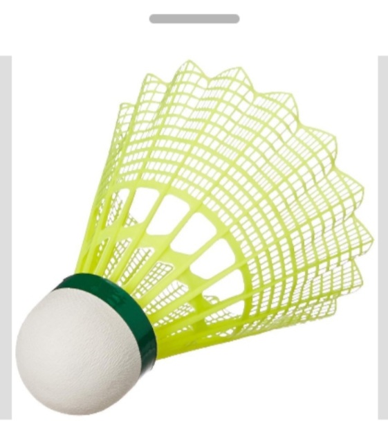 Badminton | Quizizz