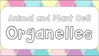 plant and animal cell - Grade 12 - Quizizz