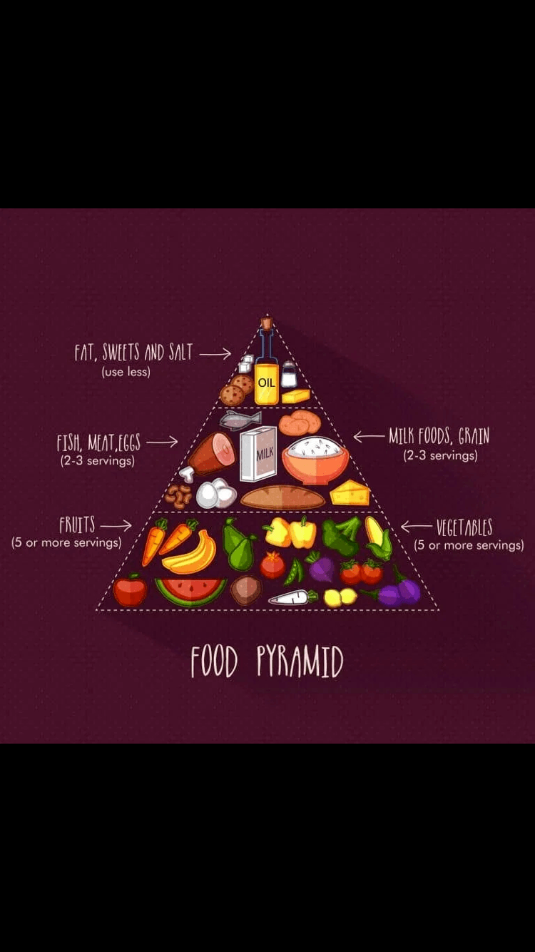 Food Pyramid Science Quizizz