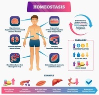 living and non living things - Grade 10 - Quizizz