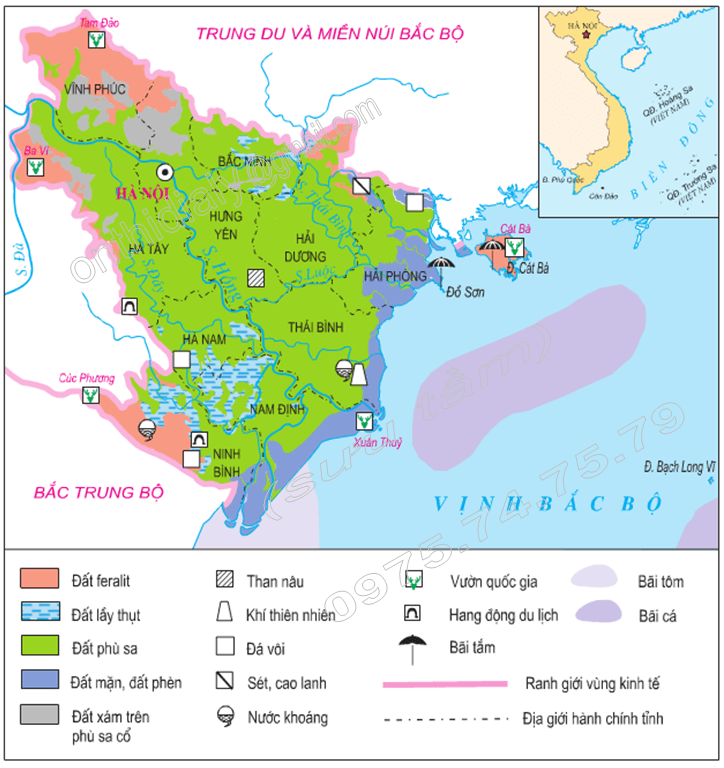 khoáng sản và đá - Lớp 7 - Quizizz