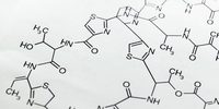 Química - Grado 8 - Quizizz