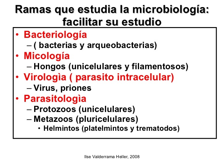 MICROBIOLOGIA | Biology - Quizizz