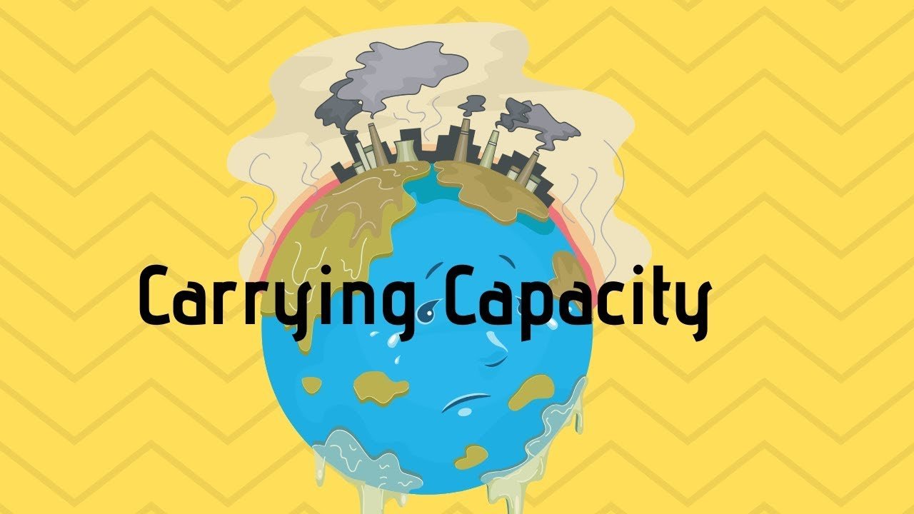 Limiting Factors And Carrying Capacity Questions Answers For Quizzes 