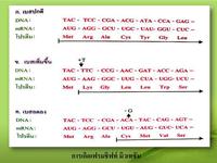 genetic mutation Flashcards - Quizizz