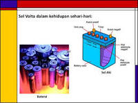 diagram sel tumbuhan - Kelas 12 - Kuis