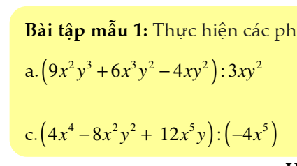 Phép chia với phân số đơn vị - Lớp 8 - Quizizz