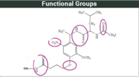 alkanes cycloalkanes and functional groups Flashcards - Quizizz