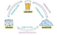 estados de la materia y fuerzas intermoleculares - Grado 4 - Quizizz