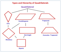 Area of Quadrilaterals - Year 11 - Quizizz