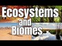 Ecosystems and Biomes