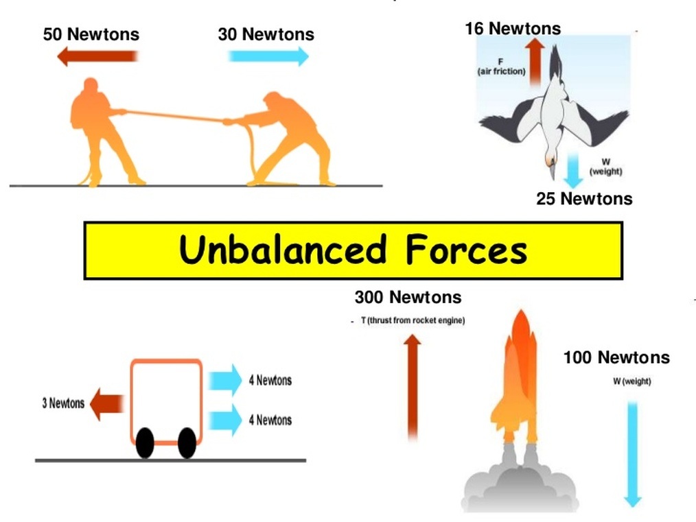 Free Body Diagrams 