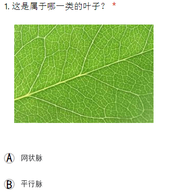 Y1科学植物2 Science Quiz Quizizz
