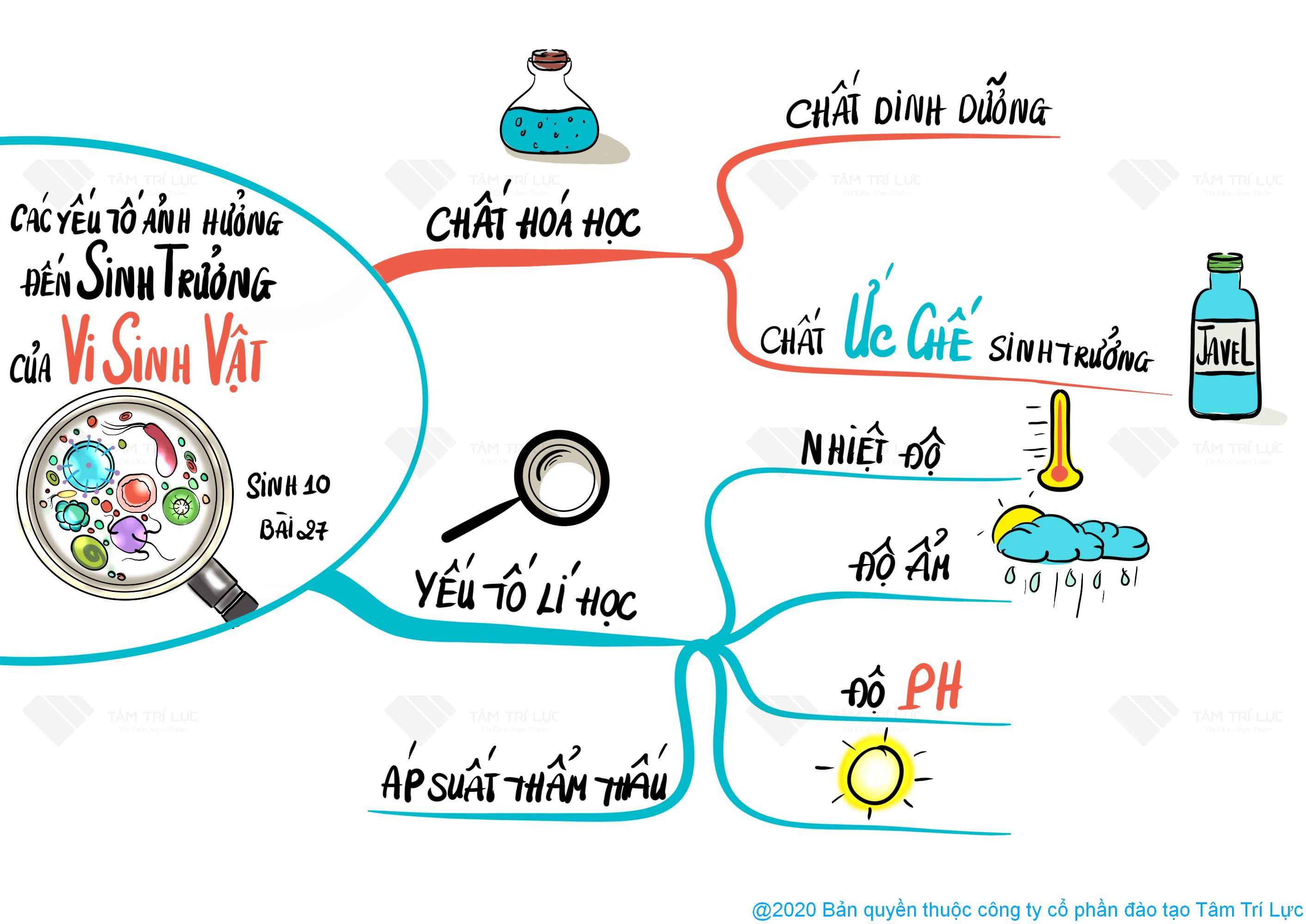 Dấu phẩy với các yếu tố không hạn chế - Lớp 10 - Quizizz