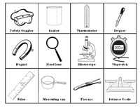 Measurement Tools and Strategies - Year 6 - Quizizz