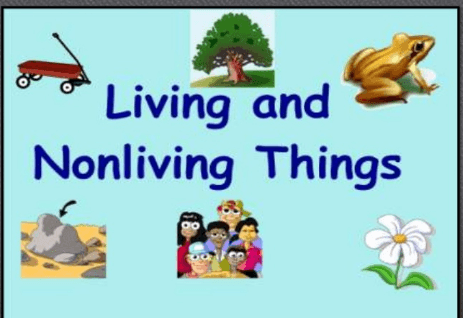 Living and Nonliving Things