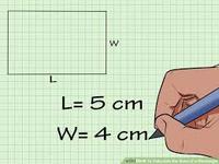 Area of a Rectangle - Grade 8 - Quizizz