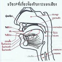 รูปร่าง 3 มิติ - ระดับชั้น 3 - Quizizz