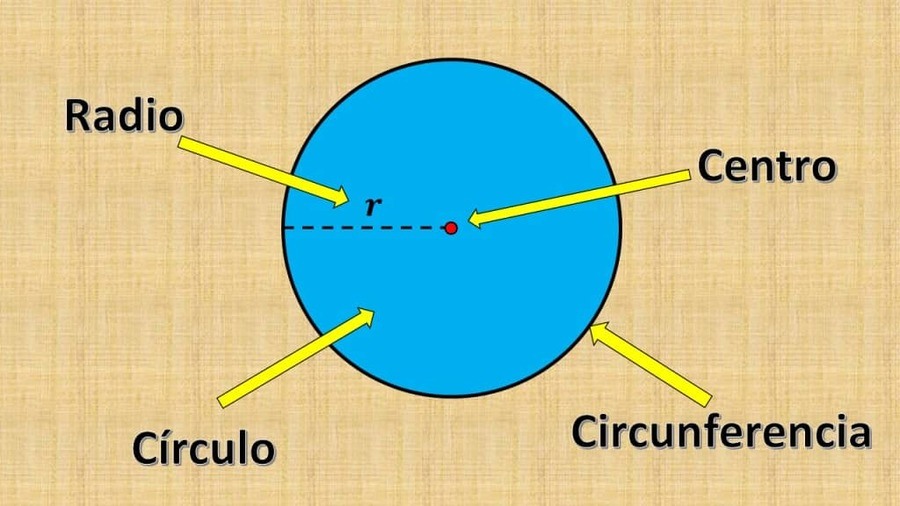 Aprendizaje autónomo y autoreflexivo - Circunferencia | 116 jugadas ...