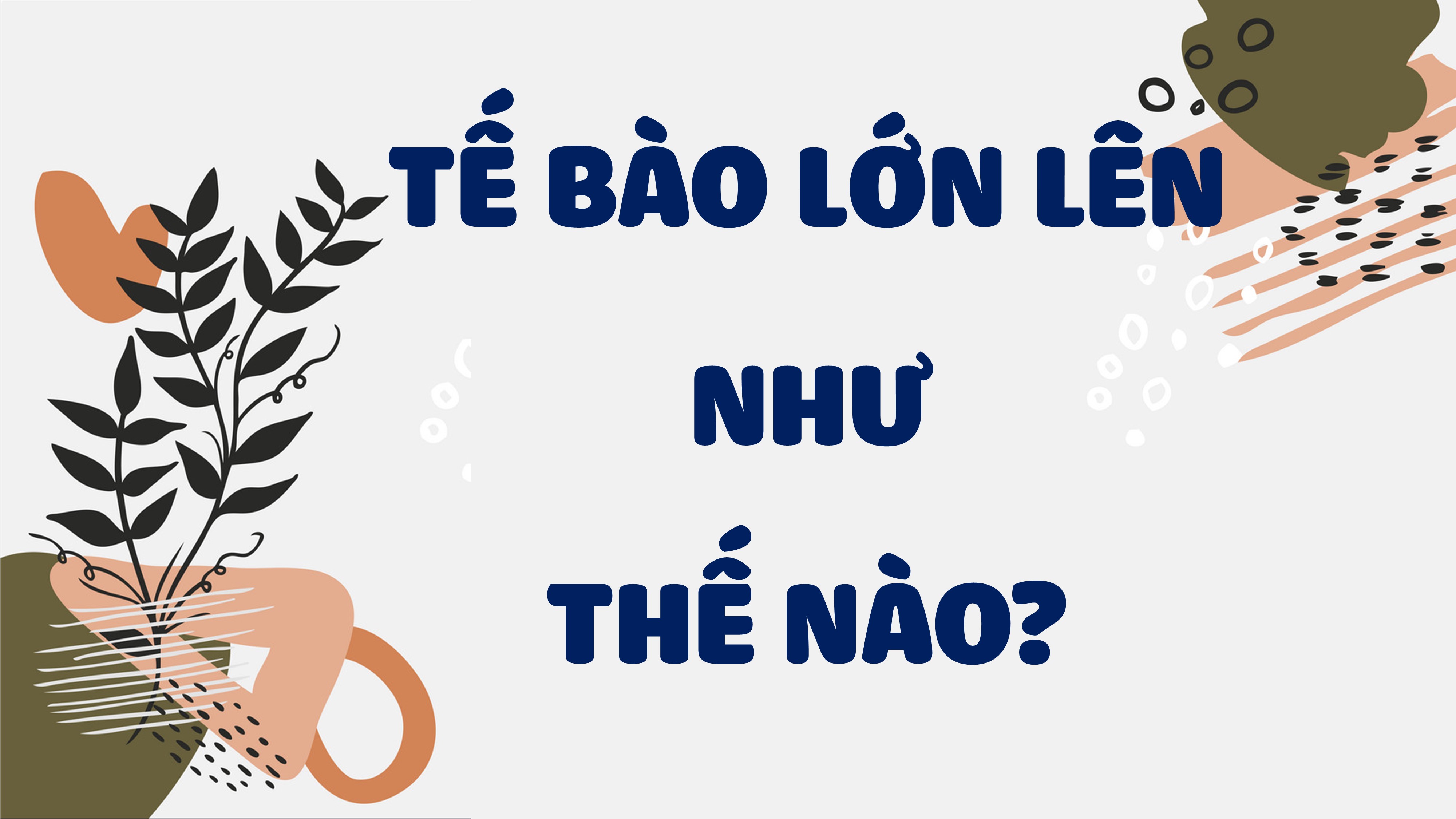 phân chia tế bào - Lớp 7 - Quizizz