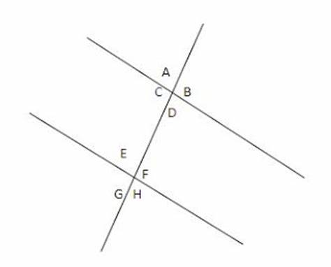distance between two parallel lines - Class 5 - Quizizz